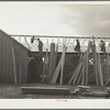 Carpenters at work on barracks for Resettlement Administration construction camp. Oneida County, Idaho