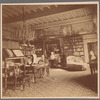 George Perkins Marsh in Villa Forini library, Florence
