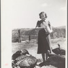 Mrs. Louise Temple feeds some of her turkeys on their farm in Chaffee County, Colorado