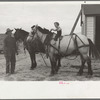 Thomas W. Beede, resettlement client, Western Slope Farms, Colorado gives his youngest daughter a ride