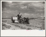 Bean threshers, western Colorado