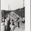 Loading sheep into freight cars, stockyard, Denver, Colorado