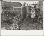 Mr. and Mrs. Howard Crowder and daughter in their garden, San Luis Valley Farms, Alamosa, Colorado