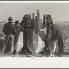 Farmers examine a two-row mounted corn picker, mechanical cornhusking contest, Hardin County, Iowa