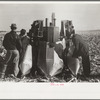 Farmers examine a two-row mounted corn picker, mechanical cornhusking contest, Hardin County, Iowa