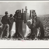 Farmers examine a two-row mounted corn picker, mechanical cornhusking contest, Hardin County, Iowa