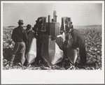 Farmers examine a two-row mounted corn picker, mechanical cornhusking contest, Hardin County, Iowa