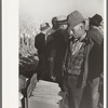 Farmers examine hybrid corn, mechanical cornhusking contest, Hardin County, Iowa