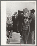 Farmers examine hybrid corn, mechanical cornhusking contest, Hardin County, Iowa