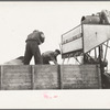 Emptying soy bean seeds from combine harvester, Grundy County, Iowa