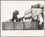 Emptying soy bean seeds from combine harvester, Grundy County, Iowa