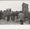 Farmers wait for the cornhusking contest to start, Marshall County, Iowa