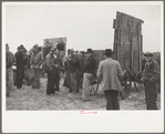 Farmers wait for the cornhusking contest to start, Marshall County, Iowa