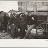 Farmers at cornhusking contest, Marshall County, Iowa