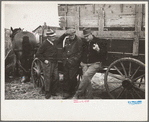 Farmers at cornhusking contest, Marshall County, Iowa