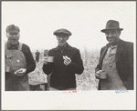 Farmers at cornhusking contest, Marshall County, Iowa