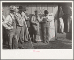 Farmer's neighbors who have come to buy livestock and equipment at farm sale, Pettis County, Missouri