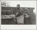 Gleaners of wagon load being taken to scales, cornhusking contest, Marshall County, Iowa