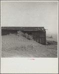 Sand dunes on farm in Cimarron County, Oklahoma