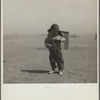 Son of farmer in dust bowl area. Cimarron County, Oklahoma