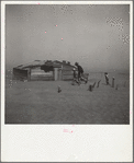 Farmer and sons walking in the face of a dust storm. Cimarron County, Oklahoma