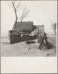 Chickens take shelter from sand. Cimarron County, Oklahoma