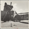 Dust covering harvester. Castro County, Texas