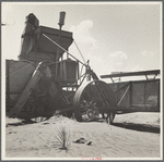 Dust covering harvester. Castro County, Texas
