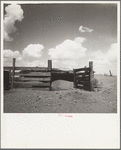 Invading mounds of sand forced abandonment of this hog pen. Castro County, Texas