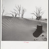 Sand dunes on a farm in Cimarron County, Oklahoma