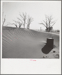 Sand dunes on a farm in Cimarron County, Oklahoma