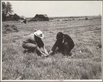 Rehabilitation client and county supervisor discuss planting problems. Cherokee County, Kansas