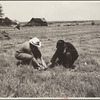 Rehabilitation client and county supervisor discuss planting problems. Cherokee County, Kansas