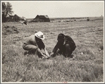 Rehabilitation client and county supervisor discuss planting problems. Cherokee County, Kansas