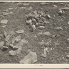 Overgrazed land. Shawnee County, Kansas