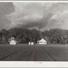 Douglas County farmsteads. Nebraska