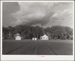 Douglas County farmsteads. Nebraska