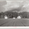 Douglas County farmsteads. Nebraska
