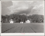 Douglas County farmsteads. Nebraska