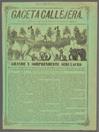 Gaceta Callejera.