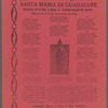 Mañanitas a la Virgen Morena Santa Maria de Guadalupe