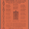 Mañanitas a la Virgen Morena Santa Maria de Guadalupe