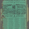 Gran Calavera Electrica
