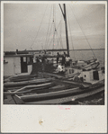 The buy boat of the oyster fleet. Rock Point, Maryland