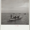 Working an oyster bed. Rock Point, Maryland