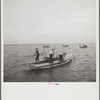 Working an oyster bed. Rock Point, Maryland