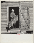 Rehabilitation client with tobacco which will be sold to repay Resettlement Administration loan. Kinston, North Carolina