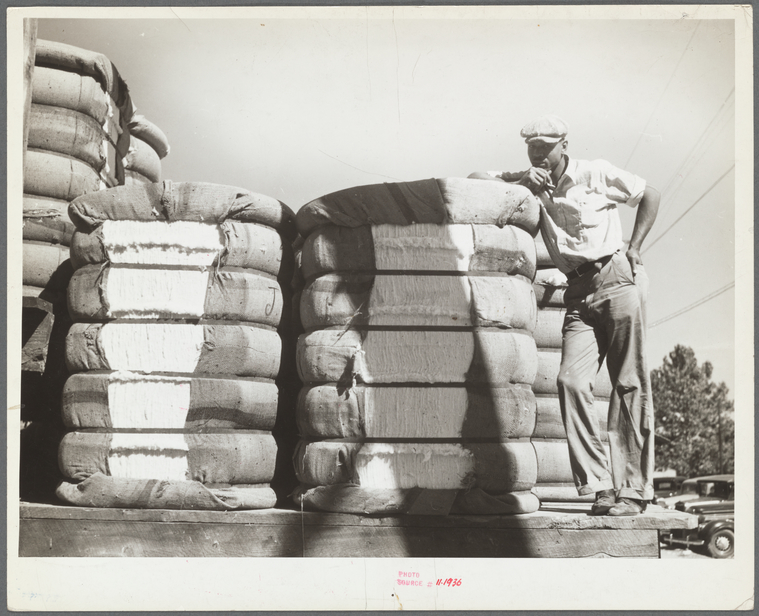 man standing on a wagon