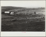 Stump fields. Garrett County, Maryland