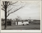 Scene at the New Jersey Homesteads cooperative. Near Hightstown, New Jersey